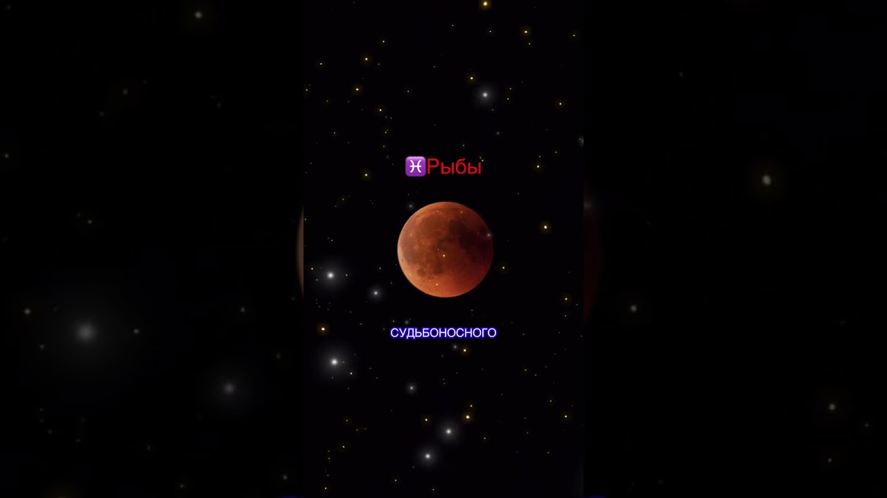 4 марта 2026 г.