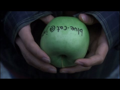 All About Lily Chou Chou A Visual Treat