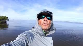 Indian River Lagoon Seagrass Update 11/29/2020