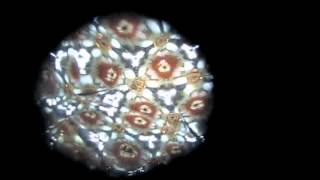 捨てる前に活用!ラップの芯で作る大人の実用工作アイデア