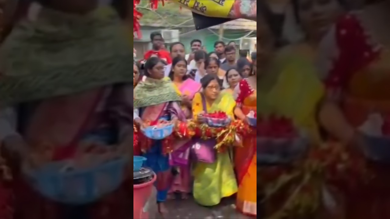 🌺🙏জয় মা মনসা 🌺🙏