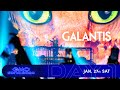 Gmo sonic 2024galantis