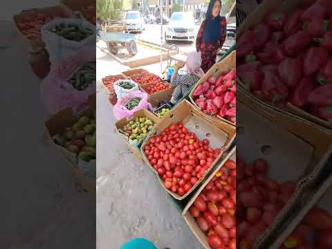 ШАХРИ ЁВОН. ГОРОД