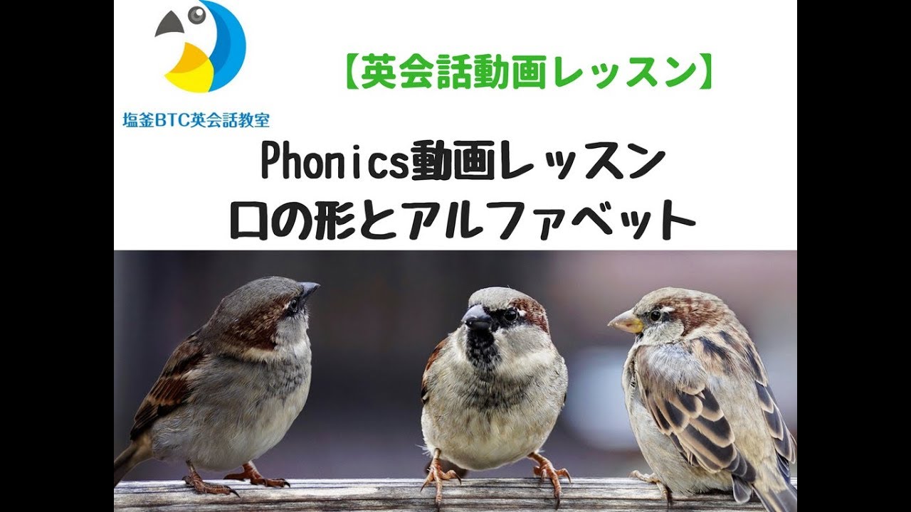 中学生は英語の文法の名前をしっかりと覚えよう 中学生の自分に伝えたいことシリーズ 子供の為の英語力 ビジネス力 資産運用講座
