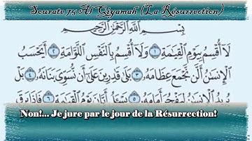 سورة القيامة (75) إدريس أبكر