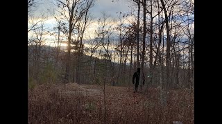 Gone Squatching