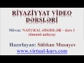 NATURAL ƏDƏDLƏR  – dərs 1 ümumi anlayış