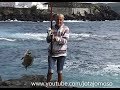 Fishing white seabream  pesca ao sargo nos aores   pesca de plata dorada   3   