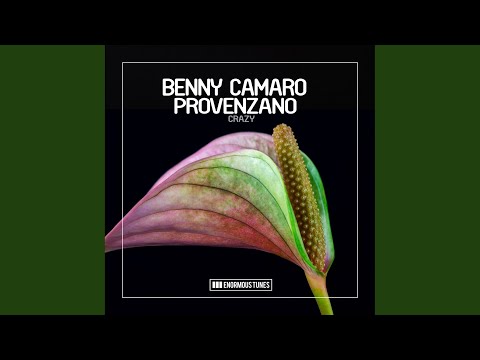 Benny Camaro & Provenzano - Crazy mp3 ke stažení