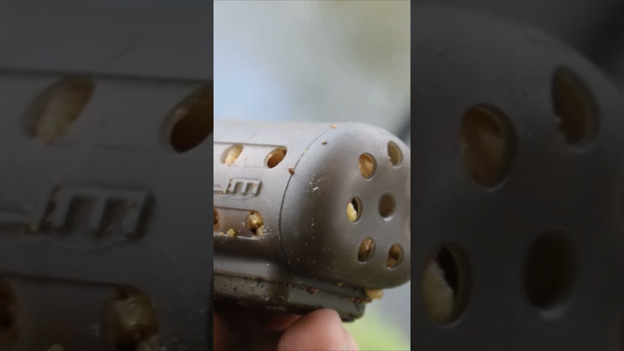 Erfolgreiches Barbenangeln an der Lippe