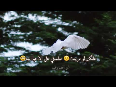 ياطير علگبرلومريت سلملي على الاحباب حالات واتساب حزينه عن الموت ابوالصووف
