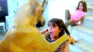 SISTERS vs GIANT DOG!