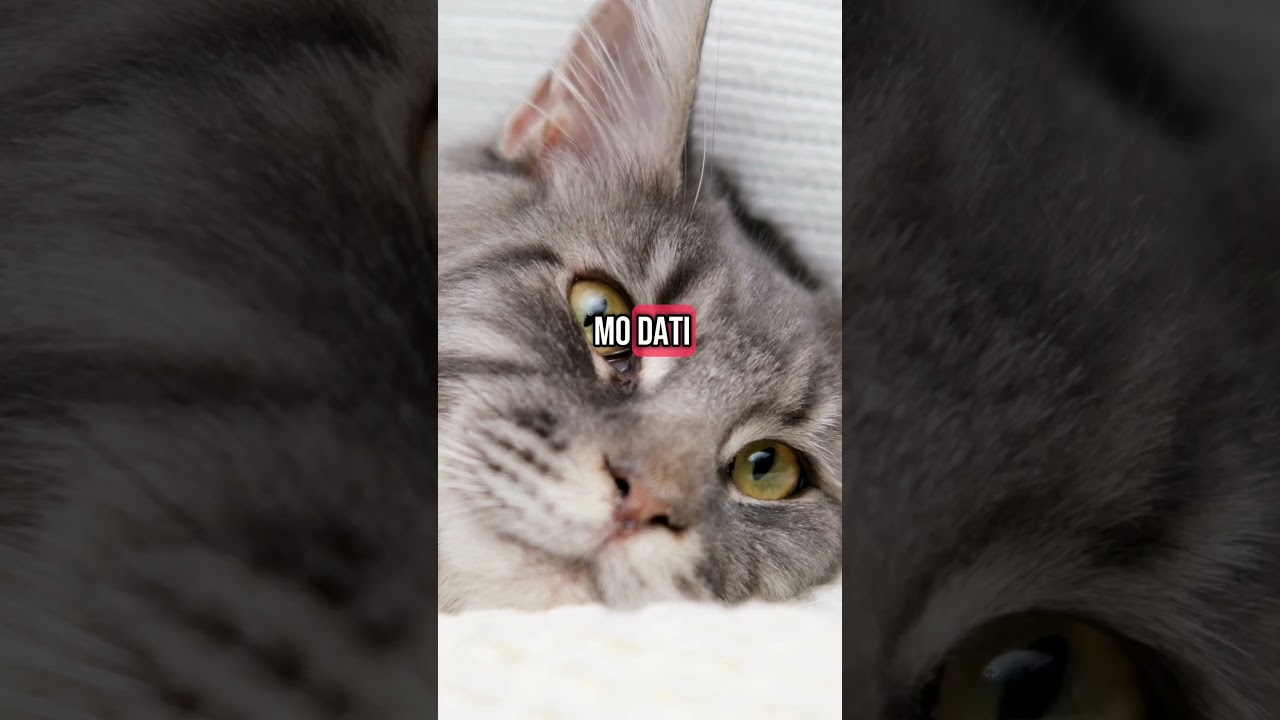 Dear Jaji / life in the Philippines/ inspirational 