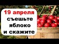 19 апреля съешьте яблоко, чтобы подружиться с деньгами навсегда