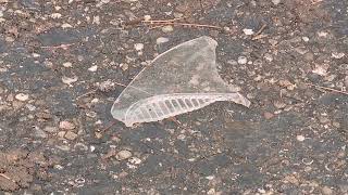 There Were Terrifying Moments Early Monday Morning For Residents Of An Akron Apartment Complex,