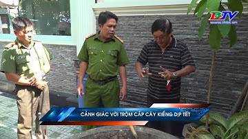 Cảnh giác với trộm cắp cây kiểng dịp Tết