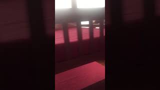 1050 Black Bear Cub Way (part 2)