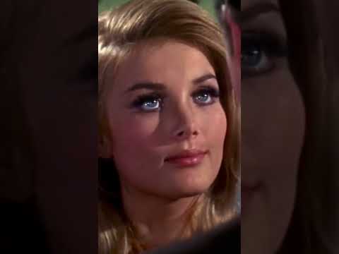 Watch The Three Stooges Brideless Groom Video at CoolCat Casino