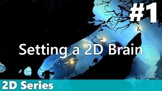 2D #1: Setting a 2D Brain