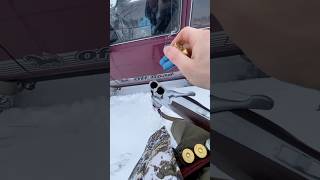 Cz mallard gen 2 великолепное оружие 👍 #hunting #2025 #оружиероссии