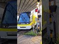 【鹿児島市電7003号】【新川4号踏切】を通過します。 #shorts #鹿児島市電 #tram