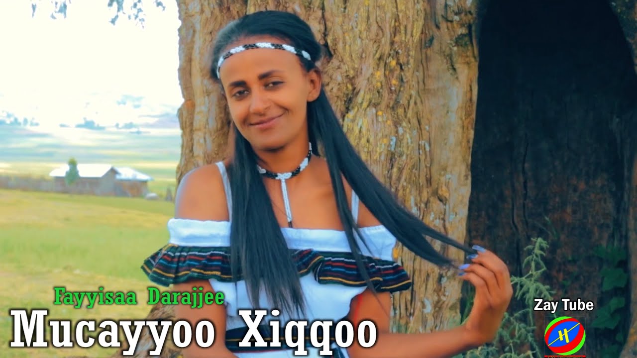 Fayyisaa Darajjee   New Ethiopian Oromo Music   Mucayyoo Xiqqoo   new 2022 official video