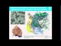 &quot;Single-Molecule Imaging&quot;  by Henry Chapman (DESY/University of Hamburg, Germany)