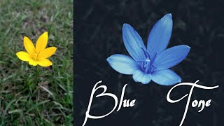 Blue tone photo editing | #pixeditings screenshot 5