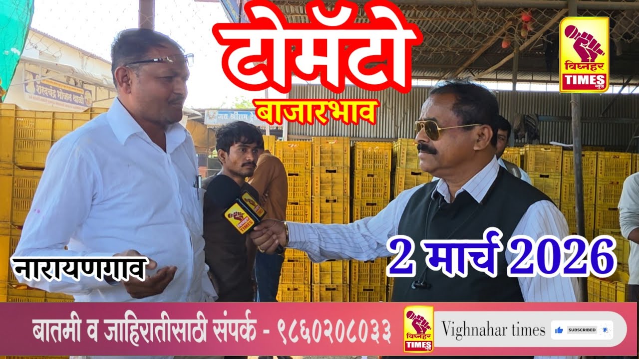 नारायणगाव टोमॅटो मार्केट  l दिनांक 2 मार्च 2026 रोजी पहा काय मिळाला बाजारभाव?