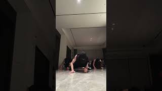 I Wanna Be Your Slave  Mneskin  Plank Dance Challenge aoiskadi