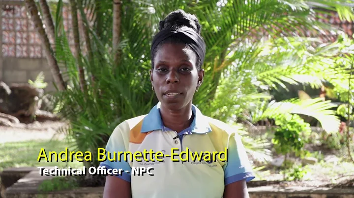 What Does Independence Mean to You - Andrea Burnet...