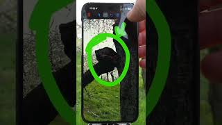 Turn photos into survey reports 📍 GPS Camera 55