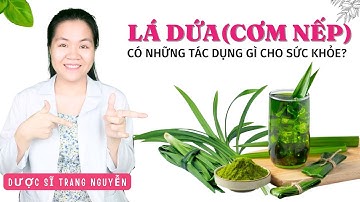 Những tác dụng của cây lá dứa(cơm nếp) đối với sức khỏe như thế nào?