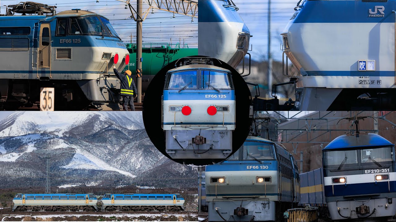 [貨物列車撮影記録] サメ重連再び！反射板の付いたEF66を追っかける！