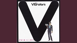 Video thumbnail of "The Vibrators - You Broke My Heart"
