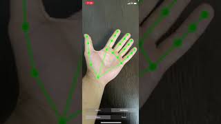 Vision vs MediaPipe hand tracking by MobiDev screenshot 1