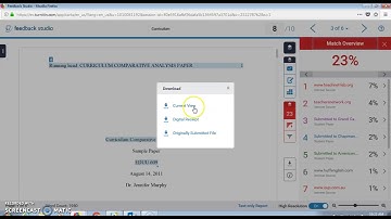 Turnitin: Downloading Similarity Report