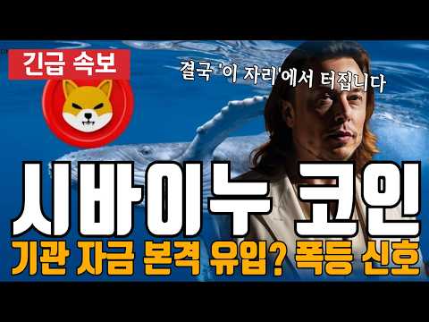 시바이누 코인 역대급 폭등 신호 떴습니다 기관 자금 대거 유입