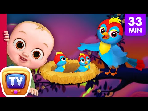 animal-homes-song-+-more-nursery-rhymes-&-kids-songs---chuchu-tv