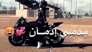 حالات واتس اب ♥ على اغنية و ولله شكلي حبيتك