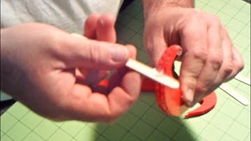 Ritewing  Zephyr Skids build