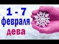 ДЕВА ❄️ неделя с 1 по 7 февраля. Таро прогноз гороскоп