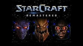 StarCraft: PvsP - Big Game Hunters #Replay