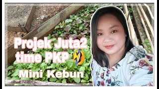Projek juta2 masa PKP 😂😂😂