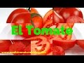 Piel - tomate pimiento rojo pepino apio zanahoria limón