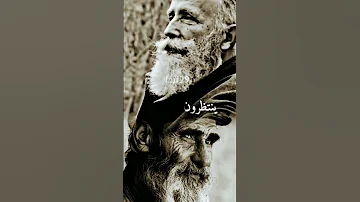 الاقارب عقارب 