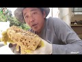 (숲속청계농장) 꿀벌 애벌레 먹이기, 넣었다 하면 나오는 물고기-귀농 541일