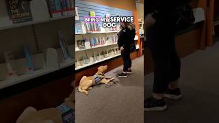 Why I Couldnt Bring My Service Dog In Training Into The Store