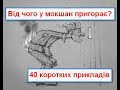 Від чого в мокшан найбільше пригорає? 40 прикладів