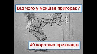 Від чого в мокшан найбільше пригорає? 40 прикладів